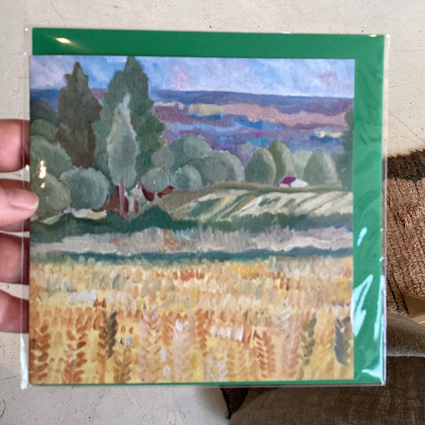 DP335 BR - Fields of Corn