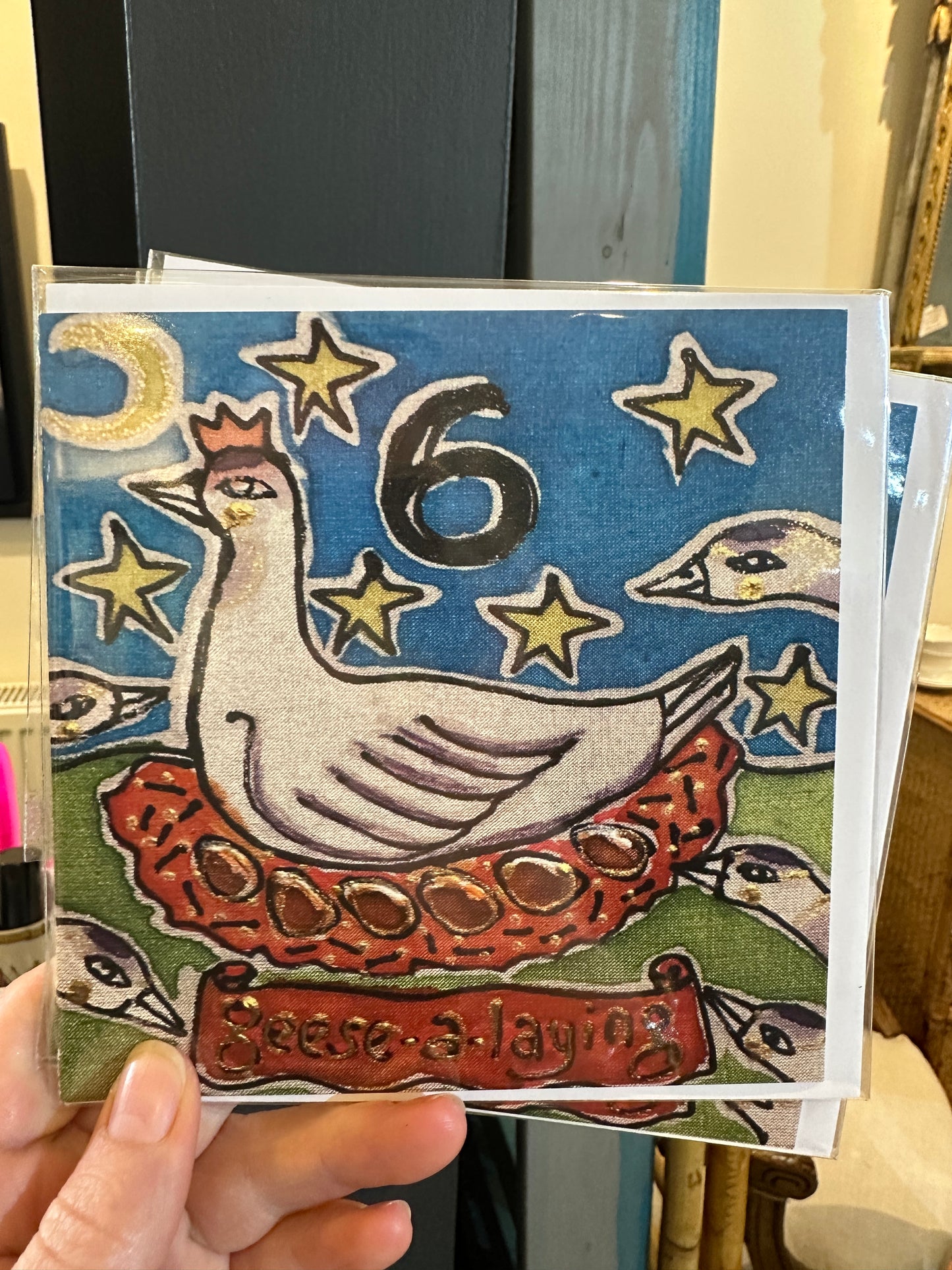DC 6 MO - 12 days of Christmas cards