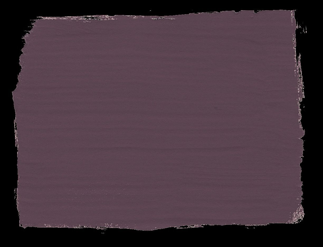 Tyrian Plum