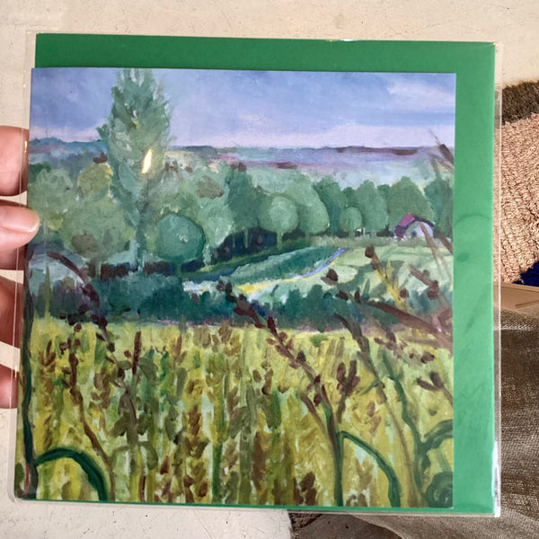 DP335 BS - Fields of Corn
