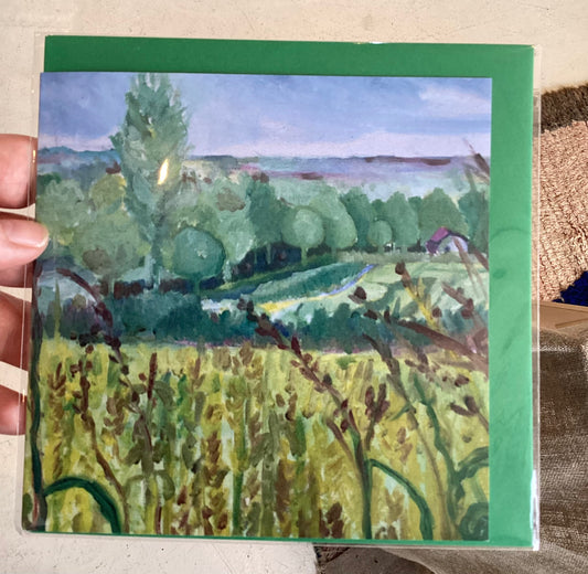 DP335 BS - Fields of Corn