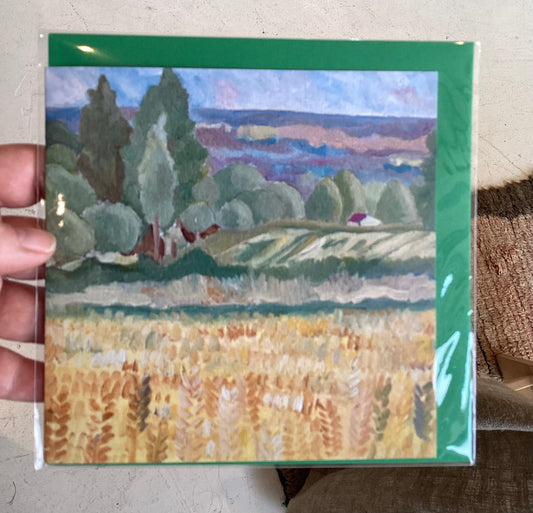 DP335 BR - Fields of Corn